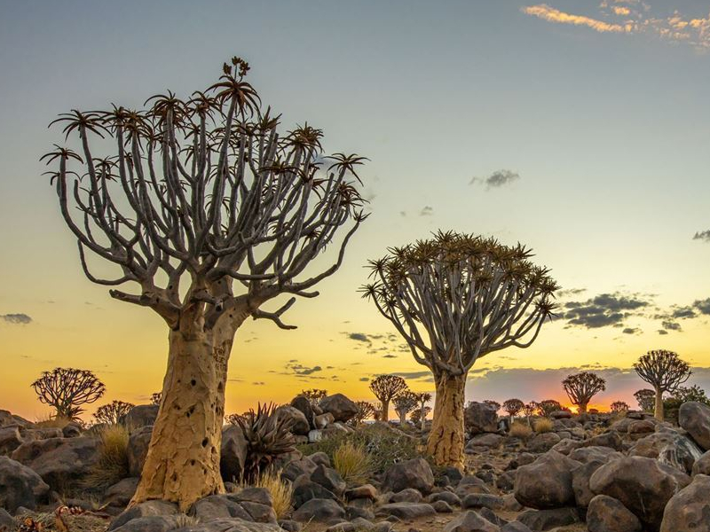 Keetmanshoop