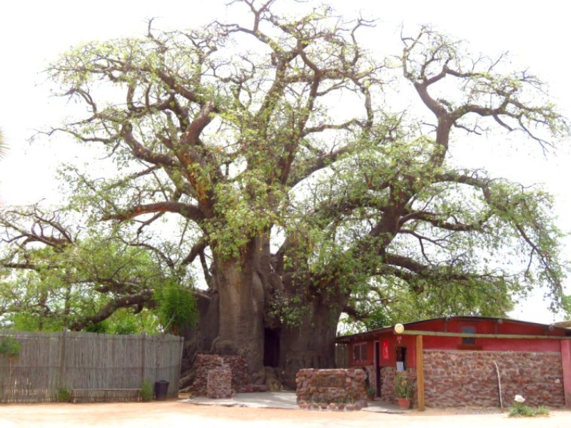 Outapi