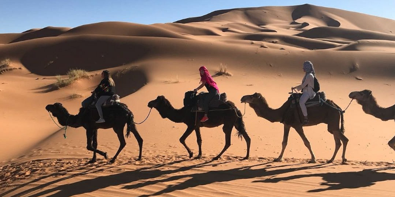 Swakopmund sandboarding adventure