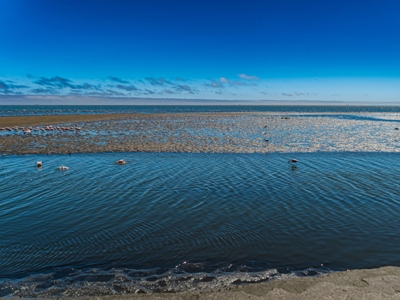 Walvis Bay